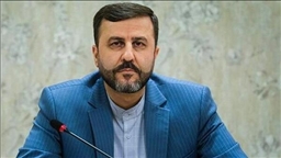 غریب آبادی: در نشست استانبول مواضع خود را درباره مکانیسم ماشه مطرح می‌کنیم