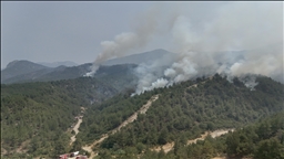 Sakarya, Bilecik ve Eskişehir'deki orman yangınlarına müdahale sürüyor