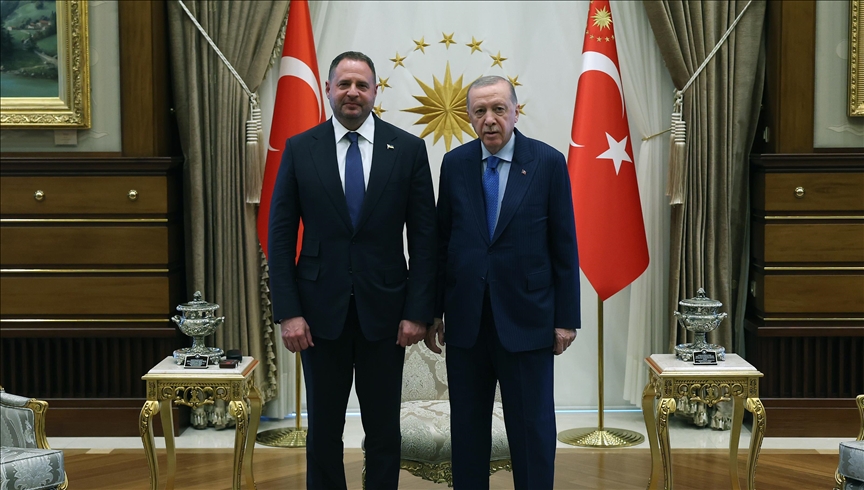 دیدار اردوغان با رئیس دفتر رئیسجمهور اوکراین در آنکارا