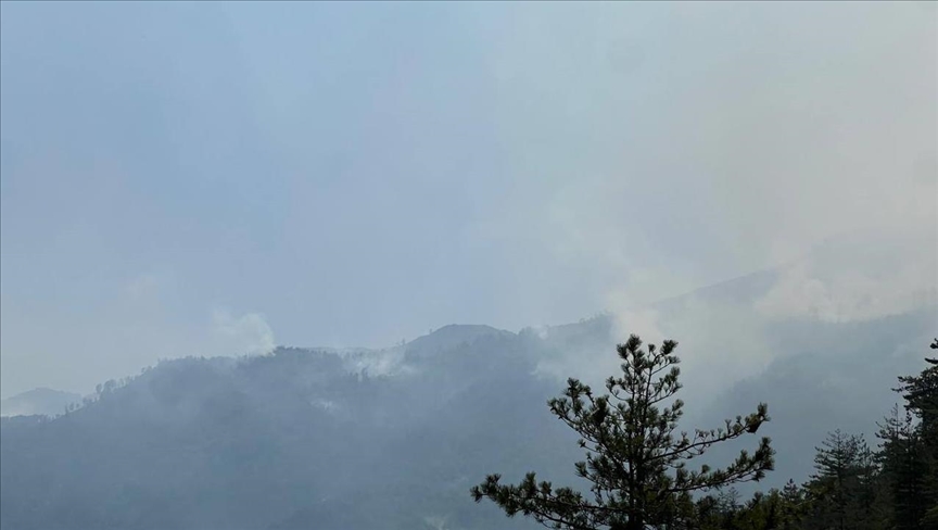 Shqipëri, 11 vatra zjarri ende aktive