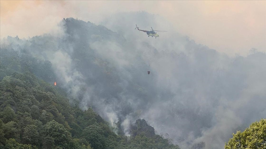 Bazı illerde çıkan orman yangınlarına müdahale sürüyor