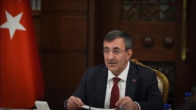 Cumhurbaşkanı Yardımcısı Yılmaz'dan Eskişehir'deki orman yangını şehitleri için taziye mesajı