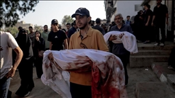 Children, pregnant woman among 7 killed in Israeli attacks on Gaza