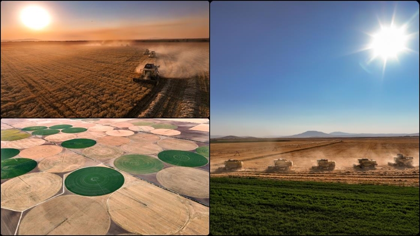 Konya'nın devasa dairesel tarlalarında hasat tamamlandı