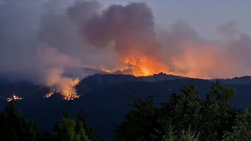 U gašenju šumskog požara u Turskoj poginulo deset osoba