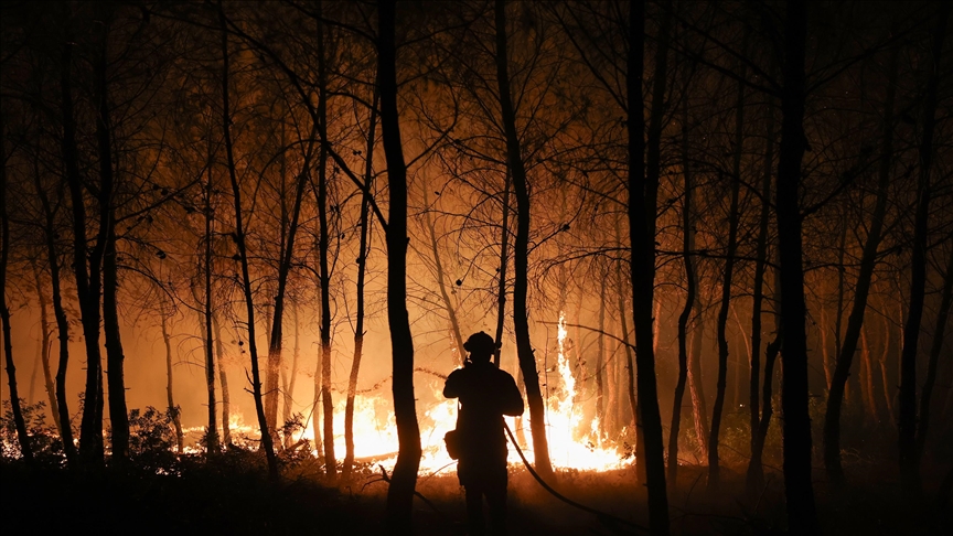 Europe remains on alert amid ongoing heat waves, wildfire threats