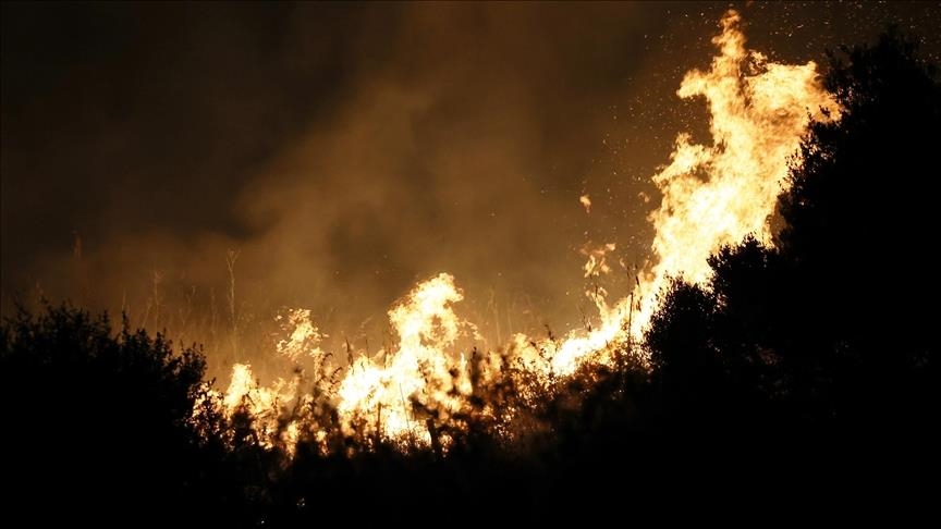 2 dead, 26 injured in largest wildfire in 50 years in Greek Cyprus