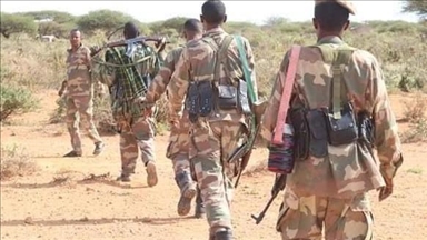 L'armée somalienne élimine 10 terroristes dans les États centraux