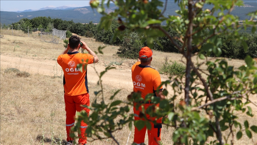 Baba oğul, ilçelerindeki ormanların gözcülüğünü yapıyor