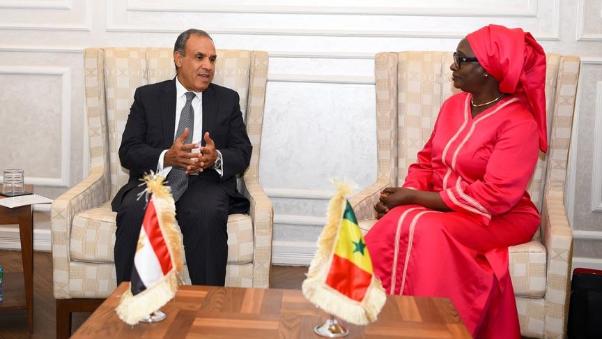 وزير الخارجية المصري يبحث مع نظيرته السنغالية تعزيز التعاون