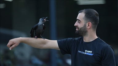 Bingöllü motosiklet teknisyeni hayata bağladığı karga "Şimşek" ile dost oldu