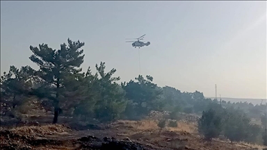 Mersin'in Silifke ilçesinde çıkan orman yangınına müdahale ediliyor