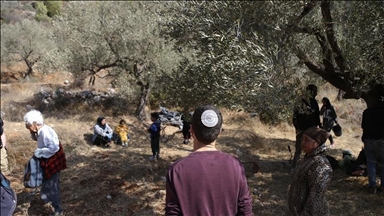 الضفة.. مستوطنون إسرائيليون يرعون مواشيهم بأراض فلسطينية