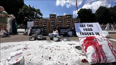 Protesters outside White House demand end to Israeli Gaza blockade, famine