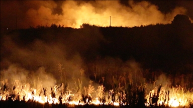 Wildfires grip Southern Europe as heat wave intensifies