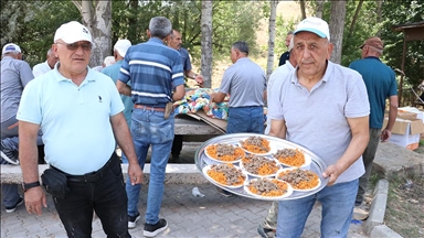 Memleket özlemlerini "Gurbetçiler Pilav Festivali" ile dindiriyorlar