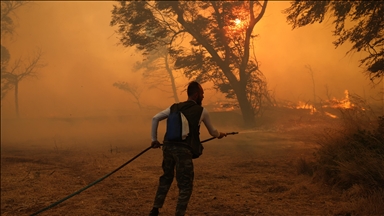 Weekend wildfires burned more than 10,000 acres in Greece 