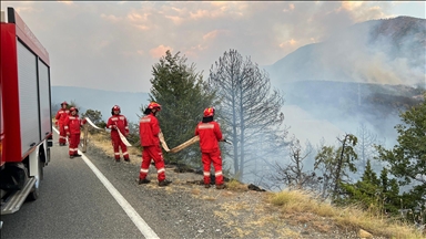 Në Shqipëri 17 vatra zjarri ende aktive, vazhdojnë operacionet për shuarjen e tyre