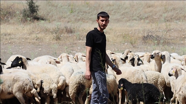 Erzincanlı genç girişimci devlet desteğiyle kurduğu modern çiftlikte tarım ve hayvancılık yapıyor