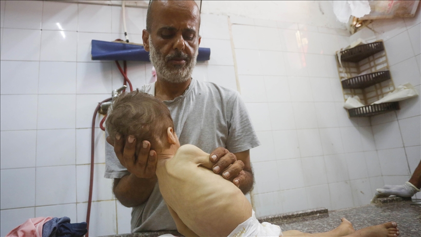 Más de 40 senadores demócratas instan a Trump a tomar medidas inmediatas para abordar la creciente hambruna en Gaza