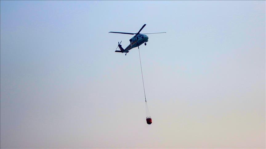 All 55 wildfires that broke out in last 24 hours around Türkiye under control