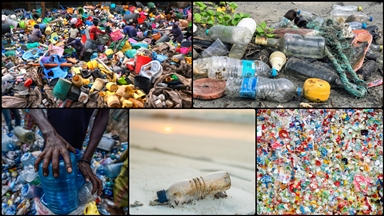 Sıfır Atık Vakfı, tek kullanımlık plastiklerin olumsuz etkilerini raporladı