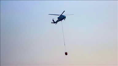 All 55 wildfires that broke out in last 24 hours around Türkiye under control