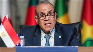 مصر: يجب تدشين مسار تفاوضي للتوصل إلى "حل الدولتين"  
