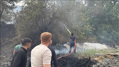 Li Hekariyê şewata ku li qada daristanê derket hat vemirandin