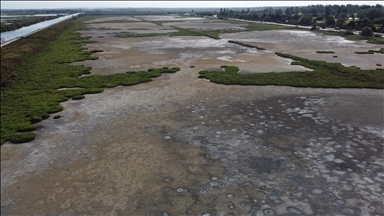 45 communes placed on drought alert in southeastern French department