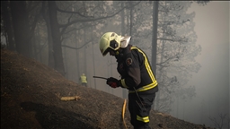 Forest fires prompt evacuations across Southern Europe amid extreme weather