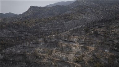 Portugal y España se enfrentan a múltiples incendios forestales alimentados por las altas temperaturas