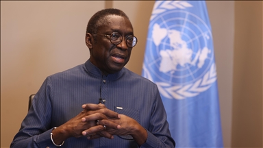 Sahel is facing a security crisis but is also ‘a zone of opportunity and hope’: UN coordinator