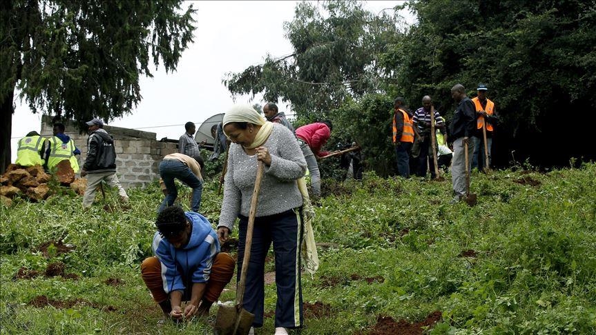 Ethiopia says 700M trees planted in one-day campaign