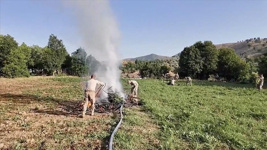 Li Diyarbekirê 4 milyon û 459 hezar serî kirkirk û skunk hat bidestxistin