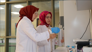 Şeker pancarı kullanarak atık sulardaki antibiyotik zararlarını gidermede başarı sağlandı