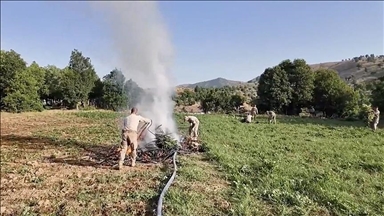 Li Diyarbekirê 4 milyon û 459 hezar serî kirkirk û skunk hat bidestxistin