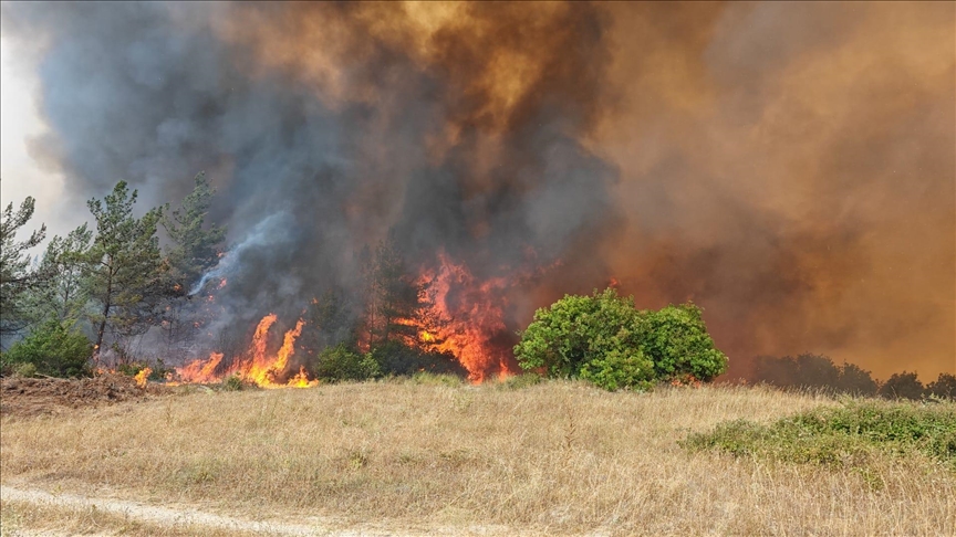 Bursa'da ormanlık alanda çıkan yangına müdahale ediliyor