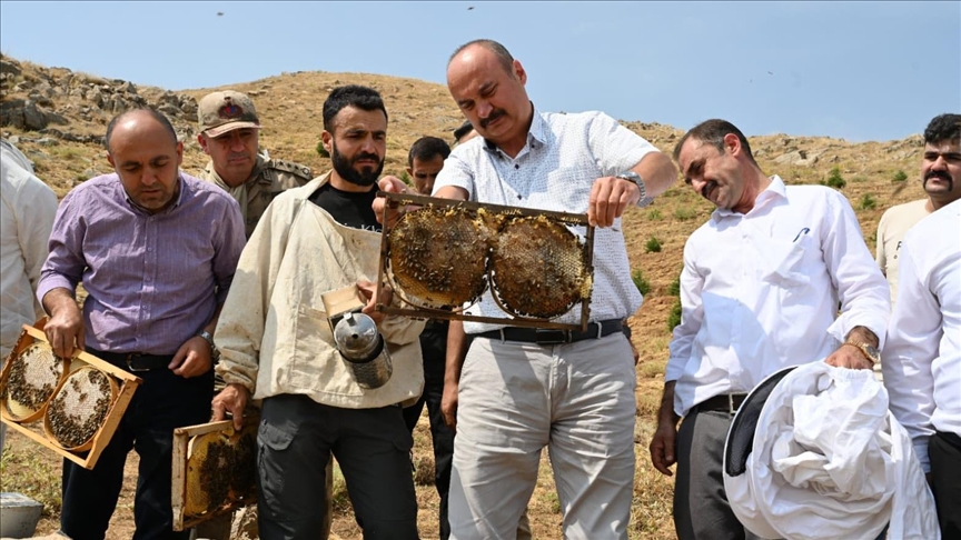 Li Sasonê heyama vekirina kewarên hingiv dest pê kir