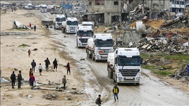Majority of aid trucks allowed by Israel into Gaza looted: Media office