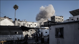 Belgian organizations urge government parties to take immediate action on Gaza