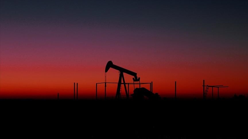 СМИ: В правительстве Индии не давали указаний прекратить закупки нефти у РФ из-за санкций