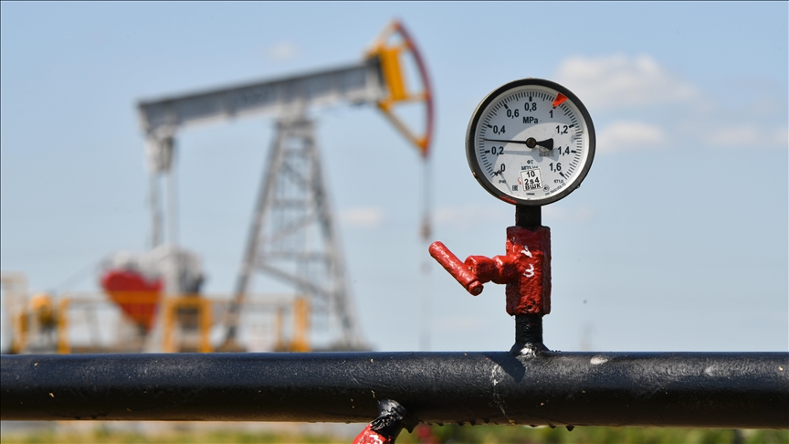 India to continue purchasing Russian oil: Report