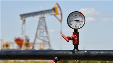 India to continue purchasing Russian oil: Report