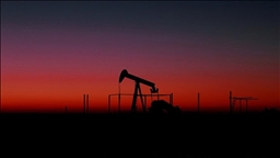 СМИ: В правительстве Индии не давали указаний прекратить закупки нефти у РФ из-за санкций