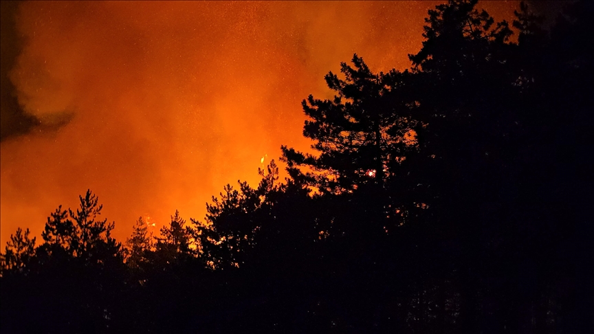 Maroc : deux incendies de forêt dans le nord bientôt maîtrisés