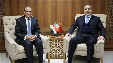 Turkish, Egyptian foreign ministers discuss Gaza aid, ceasefire efforts