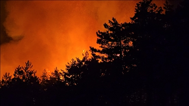 Maroc : deux incendies de forêt dans le nord bientôt maîtrisés
