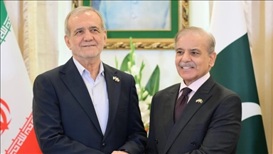 Pakistan, Iran call for Gaza ceasefire, seek regional stability 