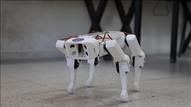 AI robot pet with unique personalities hit in Japan